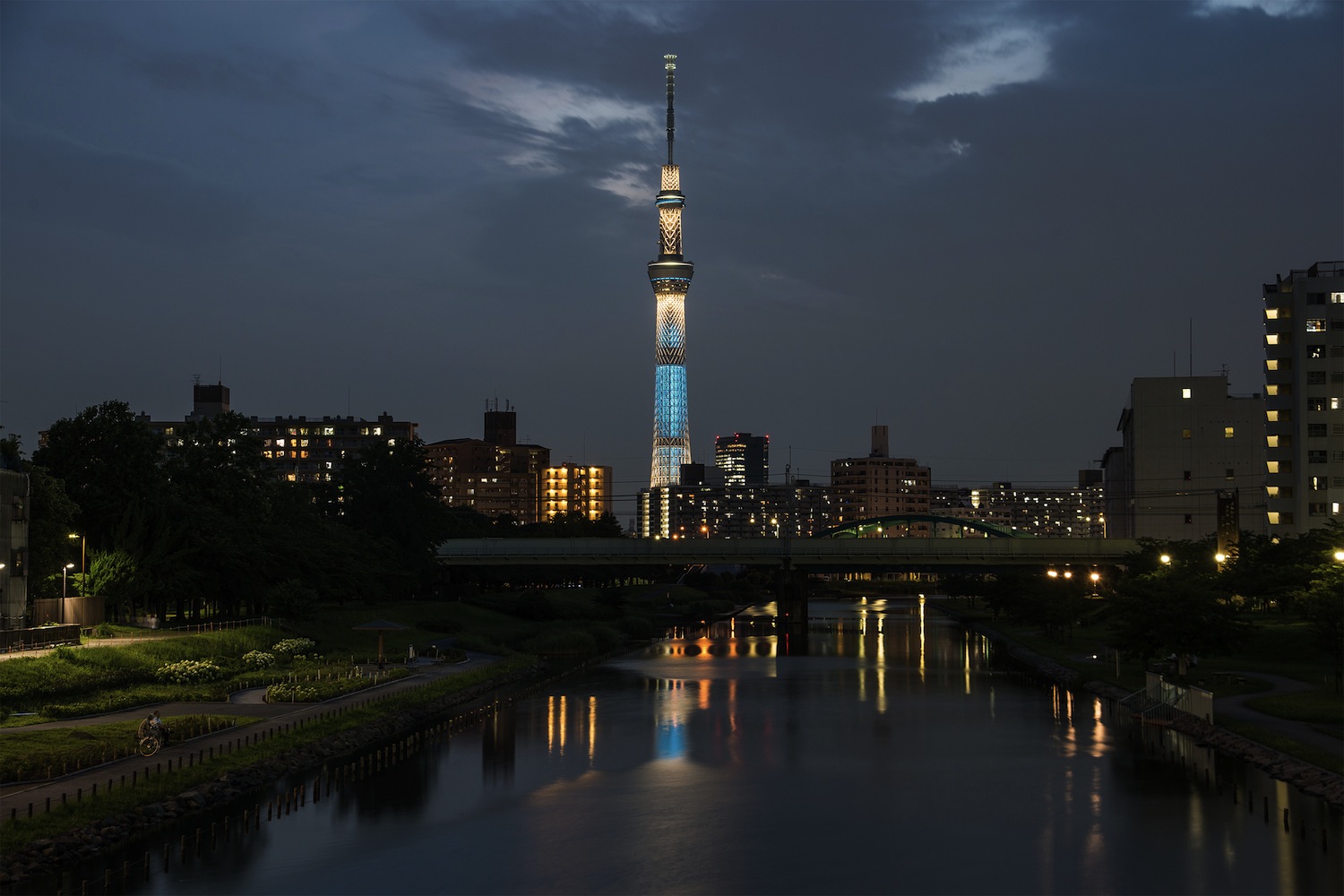 夜の旧中川から見る東京スカイツリー