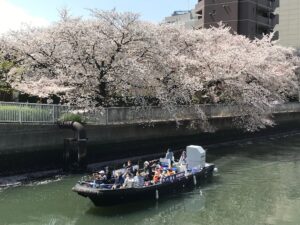 さくら回廊お花見クルーズ 東京 深川 ガレオンで東京のクルーズを満喫