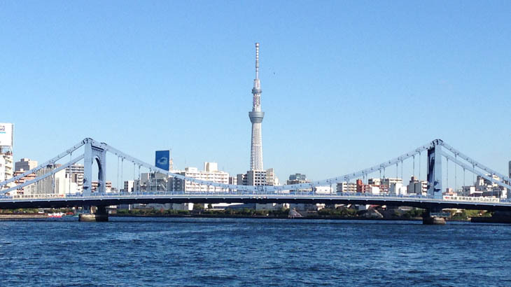 桜を船から楽しむ 東京のお花見クルーズ ならガレオン